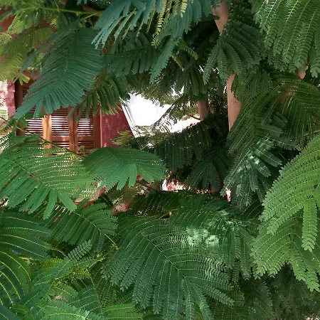 Σπίτι διακοπών Melita's Paradise